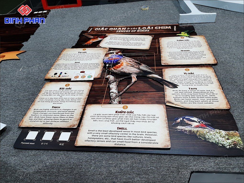 bang thong tin Vinpearl Safari Phu Quoc