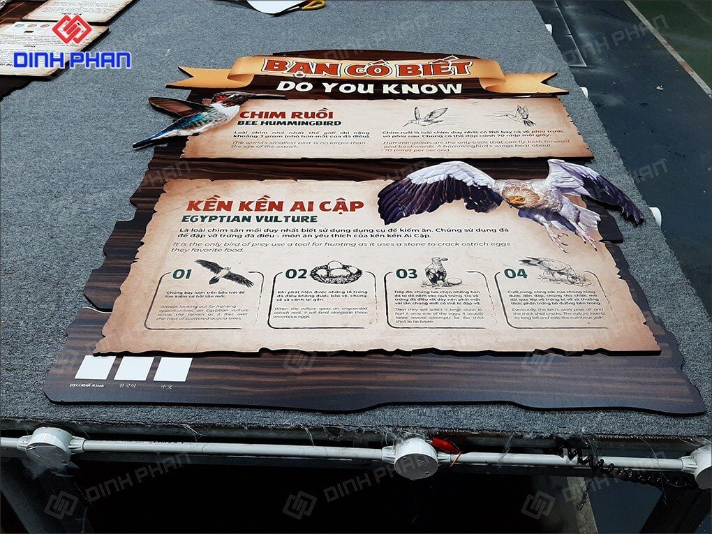 bang hieu thong tin Vinpearl Safari 